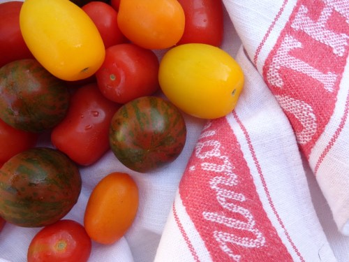 tomato5 resized
